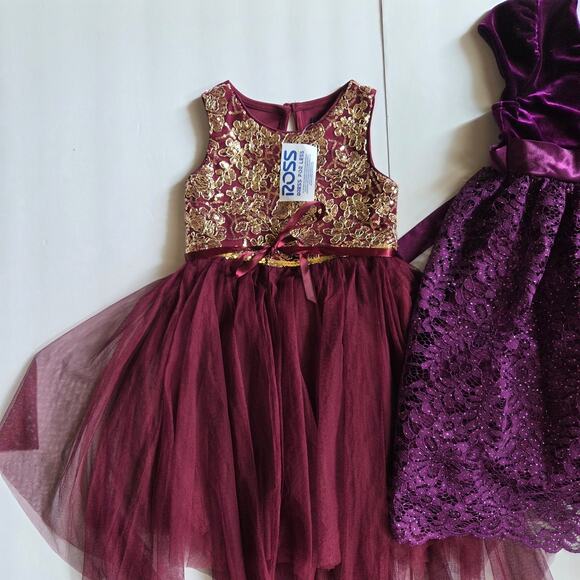 Girls Elegant Dress Lot of 2 Size 4T And 5 - Picture 2 of 13